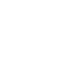 Logo Virgin