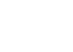 Nexnew copia