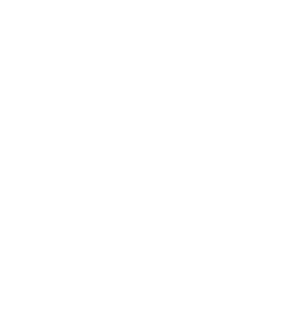 TDTV logo 2022 copia