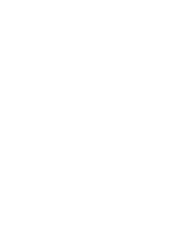 canal 6